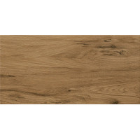 Плитка підлогова Gilberton Brown 29,8x59,8 код 6271 Церсаніт