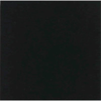 Плитка керамогранітна Monocolor Negro 200x200x10 Vives