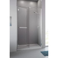 Душові двері Carena DWJ 110 L RADAWAY