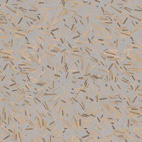 Плитка керамогранітна CSAIARLN90 Insideart Rewood Light NAT 900x900x10 Sant'agostino