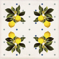 Декор CSAGIMXL20 Vita Giardino Bianco Mix Luc 200x200x10 Sant'agostino