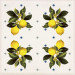 Декор CSAGIMXL20 Vita Giardino Bianco Mix Luc 200x200x10 Sant'agostino