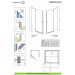 Душові двері Torrenta DWJ 110 R RADAWAY