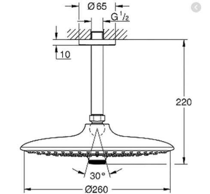 Верхній душ Euphoria 260 (26461000), Grohe