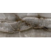 Плитка керамогранітна CSAAKOCL12 Akoya Ocean KRY 600x1200x10 Sant'agostino