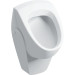 Пісуар Selnova 500.344.01.1 Geberit