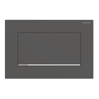 Кнопка зливу Sigma 30 (115.893.14.1) чорний мат, Geberit