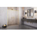 Душові двері Idea Gold DWD 140 RADAWAY
