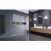 Фронтальна Euphoria Walk-in VI W6 80 RADAWAY