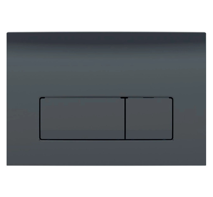 Кнопка зливу Delta50 115.119.DW.1 чорний Geberit