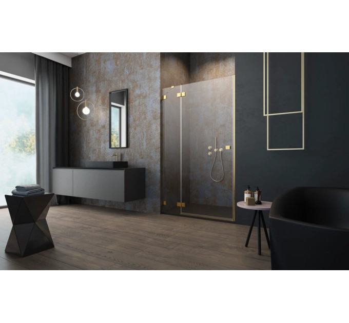 Душові двері Essenza Pro Gold DWJ 120 ліві, RADAWAY