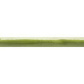 Фриз Torelo Calabria Pistacho 20x150 Mainzu