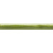Фриз Torelo Calabria Pistacho 20x150 Mainzu