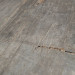 Плитка керамогранітна Blendart Grey Craft 300x1200x10  Sant'agostino