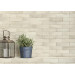 Декор R12C Eden Tin Bianco 70x280x9 Ragno