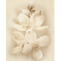 Декор Diana Flower 400x500x8 Cersanit
