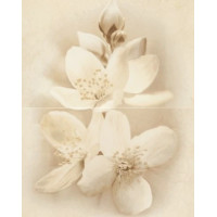 Декор Diana Flower 400x500x8 Cersanit