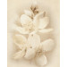 Декор Diana Flower 400x500x8 Cersanit