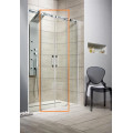 Душові двері Espera DWD 160, RADAWAY