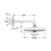 Верхній душ Euphoria 260 (26458000), Grohe