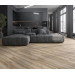 Плитка керамогранітна Artwood Світло-коричневий 200x1200 Intercerama