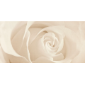 Декор Effecta Beige Inserto 297600x9 Opoczno