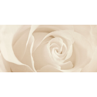 Декор Effecta Beige Inserto 297600x9 Opoczno