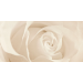 Декор Effecta Beige Inserto 297600x9 Opoczno