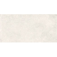 Плитка керамогранітна Geotec Світло-сірий LAP 597x1197 Nowa Gala