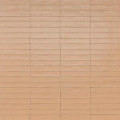 Плитка стінова RCGC Wish Petal Semimatt 53x300 Ragno