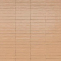 Плитка стінова RCGC Wish Petal Semimatt 53x300 Ragno